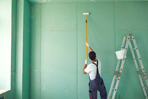 Best Mold Damage Restoration  in Colchester, IL