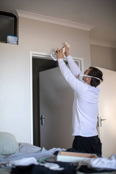 Best Emergency Mold Remediation  in Colchester, IL