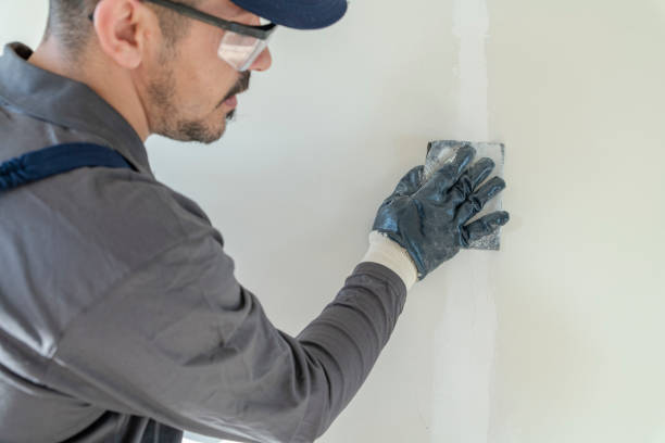Best Water Damage & Mold Remediation  in Colchester, IL
