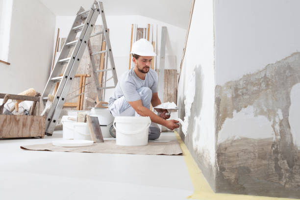 Best Post-Construction Mold Inspection  in Colchester, IL