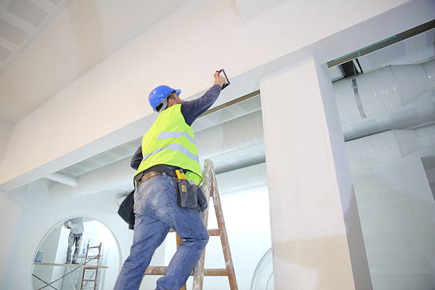 Best Post-Remediation Verification Testing  in Colchester, IL